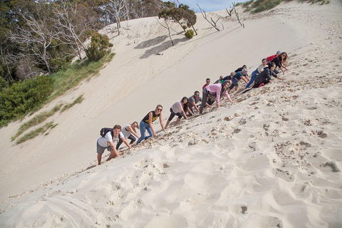 6-Day Tasmanian Explorer Adventure Tour From Hobart - Accommodation Burleigh 2
