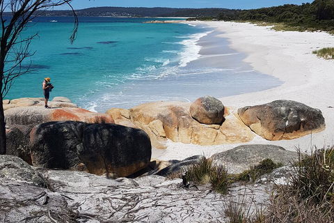 2-Day Tas East Coast Escape Tour Including Bay Of Fires, Wineglass Bay & Devils - Accommodation Burleigh 4