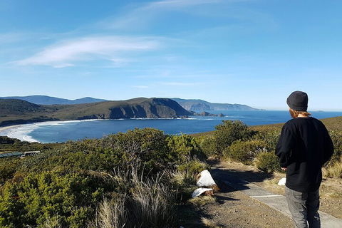 4-Day Fabulous Tasmania Tour: Wineglass Bay, Port Arthur, Devils & Bruny Island - Accommodation Burleigh 0