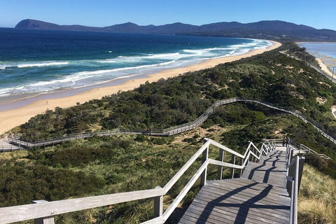 4-Day Fabulous Tasmania Tour: Wineglass Bay, Port Arthur, Devils & Bruny Island - Accommodation Burleigh 5