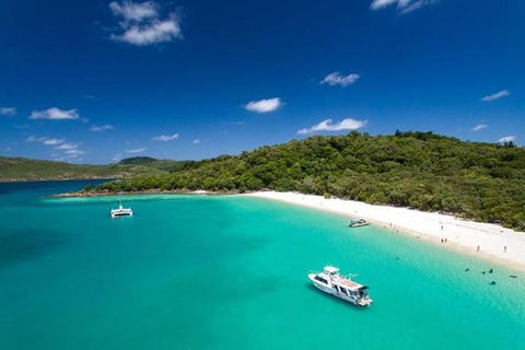 Whitehaven Beach And Hill Inlet | Awesome Beach BBQ | Family Friendly - Accommodation Burleigh 3