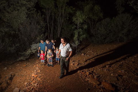 Alice Springs Desert Park Nocturnal Tour - Accommodation Burleigh 0