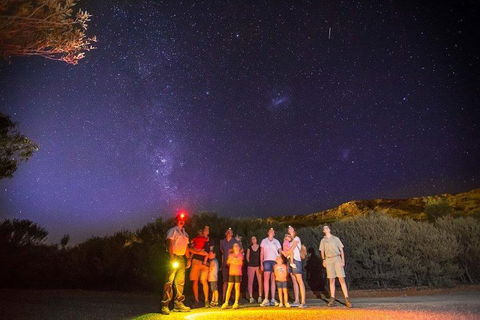Alice Springs Desert Park Nocturnal Tour - Accommodation Burleigh 2