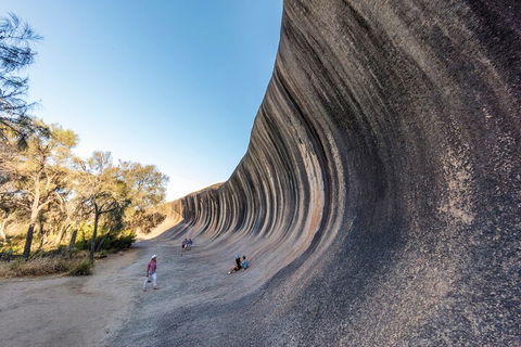 Full-Day Wave Rock & Historic York - Accommodation Burleigh 0