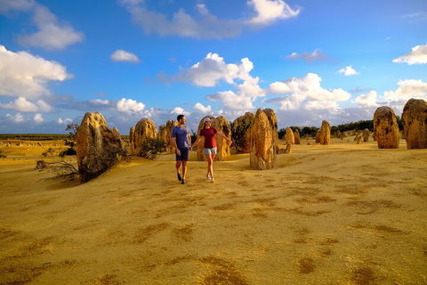 Half Day Pinnacles Sunset Tour - Accommodation Burleigh 1