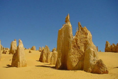 Half Day Pinnacles Sunset Tour - Accommodation Burleigh 2
