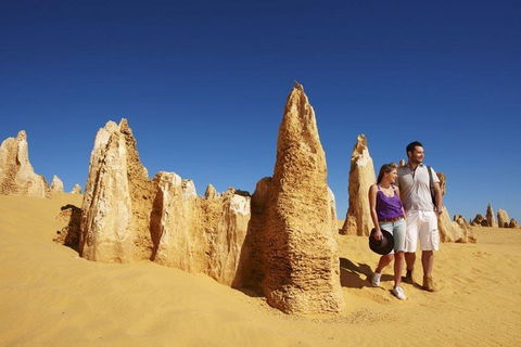 Half Day Pinnacles Sunset Tour - Accommodation Burleigh 4