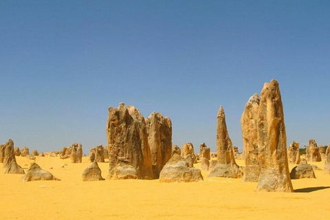 Half Day Pinnacles Sunset Tour - Accommodation Burleigh 5