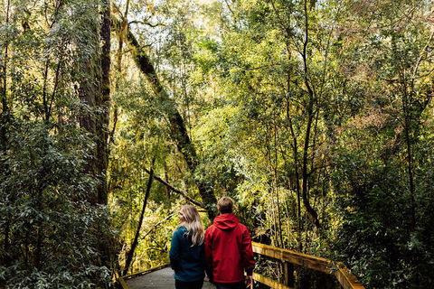 Gordon River Cruise Departing From Strahan - Accommodation Burleigh 2