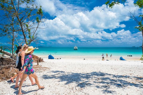 Whitehaven Beach Half-Day Cruises - Accommodation Burleigh 1