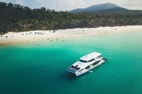 Whitehaven Beach Half-Day Cruises - Accommodation Burleigh 2