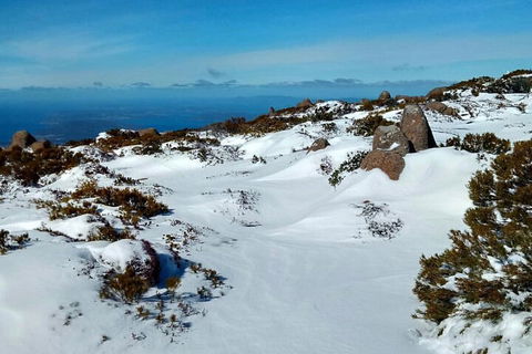 Mount Wellington Ultimate Experience Tour From Hobart - Accommodation Burleigh 1