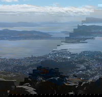 Mt Wellington Tour and MONA Admission - Accommodation Burleigh