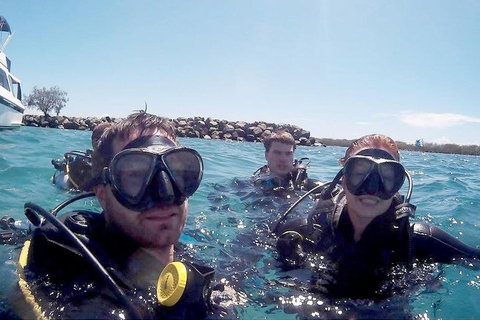 Wave Break Island Scuba Diving On The Gold Coast - Accommodation Burleigh 0