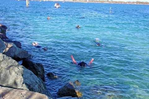 Wave Break Island Scuba Diving On The Gold Coast - Accommodation Burleigh 1