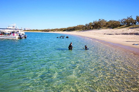Wave Break Island Scuba Diving On The Gold Coast - Accommodation Burleigh 4