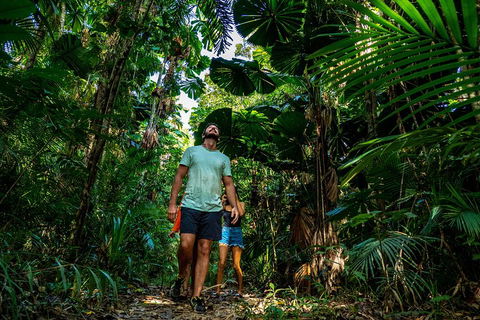 Full Day Daintree Rainforest And Mossman Gorge Tour - Accommodation Burleigh 0