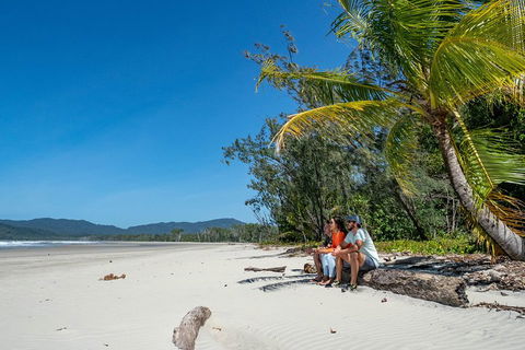 Full Day Daintree Rainforest And Mossman Gorge Tour - Accommodation Burleigh 4