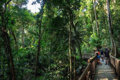 Full Day Daintree Rainforest And Mossman Gorge Tour - Accommodation Burleigh 5