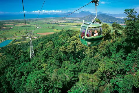 Cairns ATV Adventure Tour And Morning Skyrail - Accommodation Burleigh 2