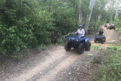 Cairns ATV Adventure Tour And Morning Train - Accommodation Burleigh 0