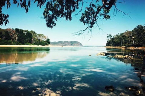Full-Day Guided Bruny Island Tour From Hobart - Accommodation Burleigh 1
