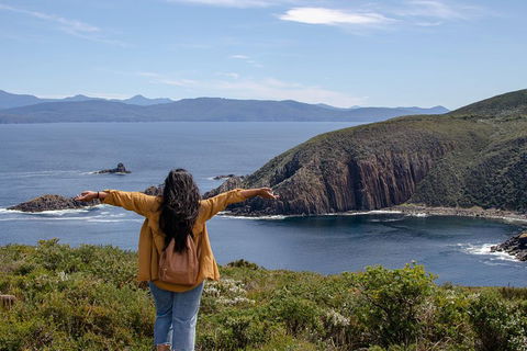 Full-Day Guided Bruny Island Tour From Hobart - Accommodation Burleigh 3