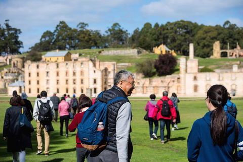 Port Arthur Express Shuttle - Accommodation Burleigh 4