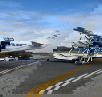 Full Day Tour by Seaplane to Rottnest Island Small Group Trip - Accommodation Burleigh