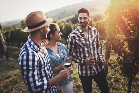 Full Day Mount Tamborine Winery Tour From Gold Coast - Accommodation Burleigh 5