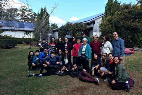 Full Day Mount Tamborine Winery Tour From Brisbane - Accommodation Burleigh 2