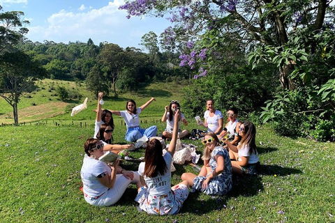 Full Day Mount Tamborine Winery Tour From Brisbane - Accommodation Burleigh 4