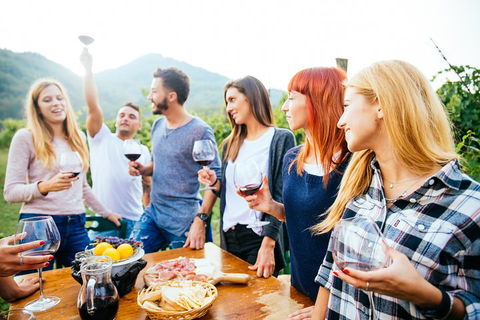 Full Day Mount Tamborine Winery Tour From Brisbane - Accommodation Burleigh 5