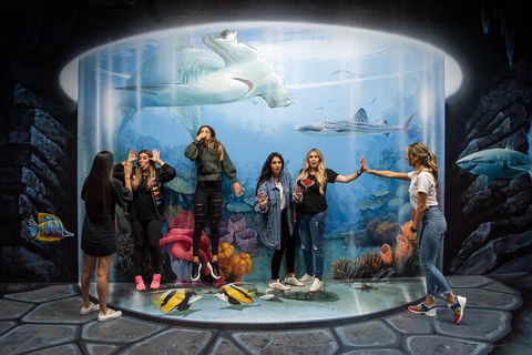 ArtVo Immersive Gallery Experience - Accommodation Burleigh 2