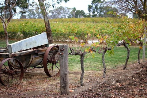 Maggie Beer Farm - Barossa Valley Regional Tour - Accommodation Burleigh 1