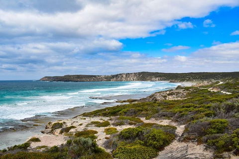Kangaroo Island Luxury Small Group 'East End Explorer' Full Day Tour - Accommodation Burleigh 0