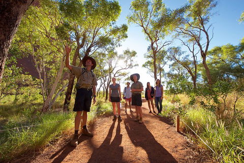 Uluru Small Group Tour Including Sunset - Accommodation Burleigh 0