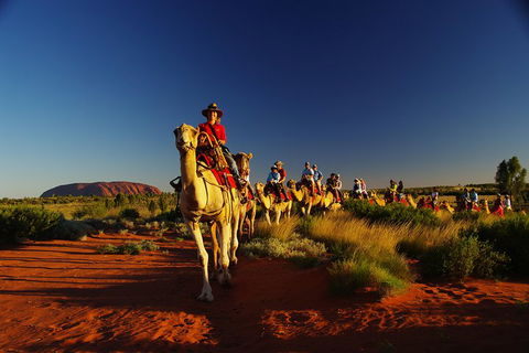 Uluru Small-Group Tour By Camel At Sunrise Or Sunset - Accommodation Burleigh 1
