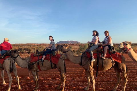 Uluru Small-Group Tour By Camel At Sunrise Or Sunset - Accommodation Burleigh 2