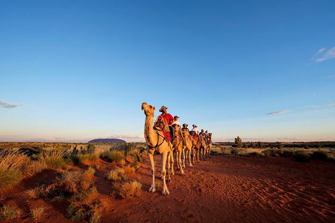Uluru Small-Group Tour By Camel At Sunrise Or Sunset - Accommodation Burleigh 3
