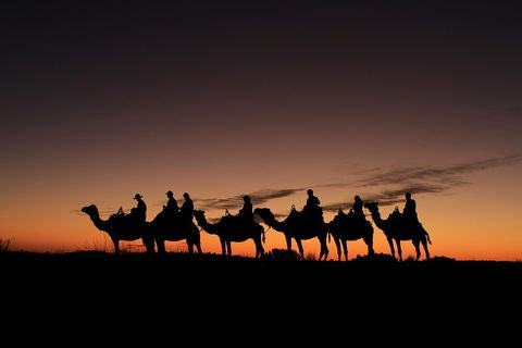 Uluru Small-Group Tour By Camel At Sunrise Or Sunset - Accommodation Burleigh 4