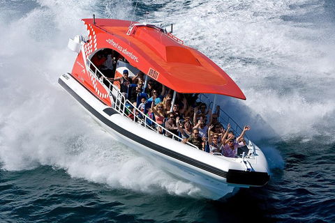 Adventure Rottnest Tour With Ferry & Adventure Cruise From Perth Or Fremantle - Accommodation Burleigh 2