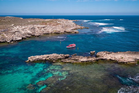 Adventure Rottnest Tour With Ferry & Adventure Cruise From Perth Or Fremantle - Accommodation Burleigh 3