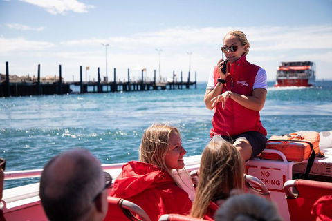 Adventure Rottnest Tour With Ferry & Adventure Cruise From Perth Or Fremantle - Accommodation Burleigh 4