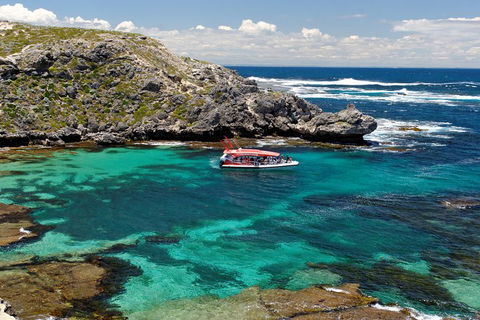 Adventure Rottnest Tour With Ferry & Adventure Cruise From Perth Or Fremantle - Accommodation Burleigh 5