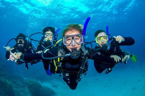 Great Barrier Reef Diving And Snorkeling Cruise From Cairns - Accommodation Burleigh 0