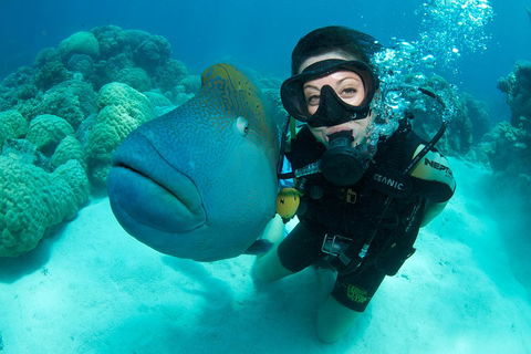 Great Barrier Reef Diving And Snorkeling Cruise From Cairns - Accommodation Burleigh 2