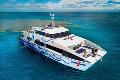 Great Barrier Reef Diving And Snorkeling Cruise From Cairns - Accommodation Burleigh 5