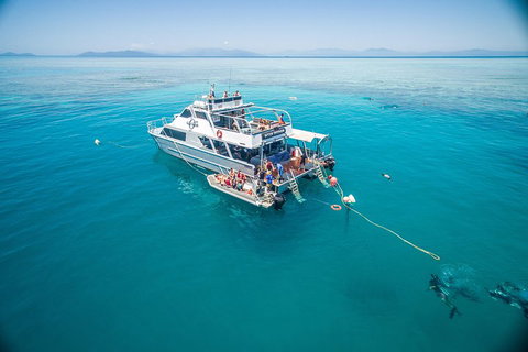 Ocean Freedom Great Barrier Reef Personal Luxury Snorkel & Dive Cruise, Cairns - Accommodation Burleigh 0