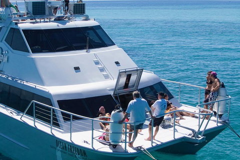 Ocean Freedom Great Barrier Reef Personal Luxury Snorkel & Dive Cruise, Cairns - Accommodation Burleigh 1